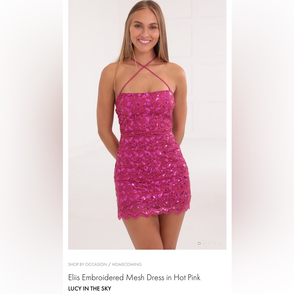 Eliis Embroidered Mesh Dress in Hot Pink Lucy in the Sky